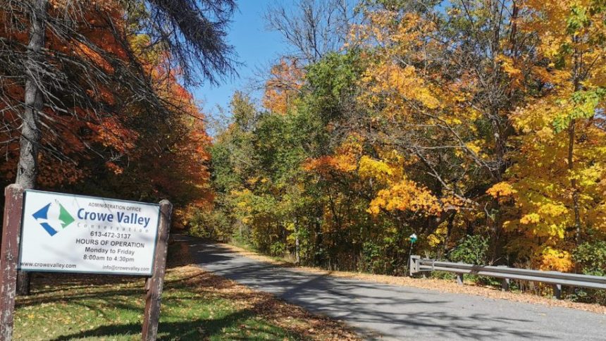 Fall view of CVCA Admin Office laneway