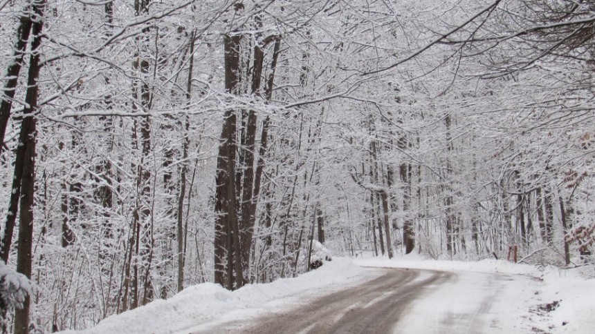 Snow covered road and trees along Crowe Valley Conservation Administration building lane