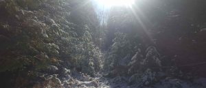 Winter Scene Near Chandos Lake